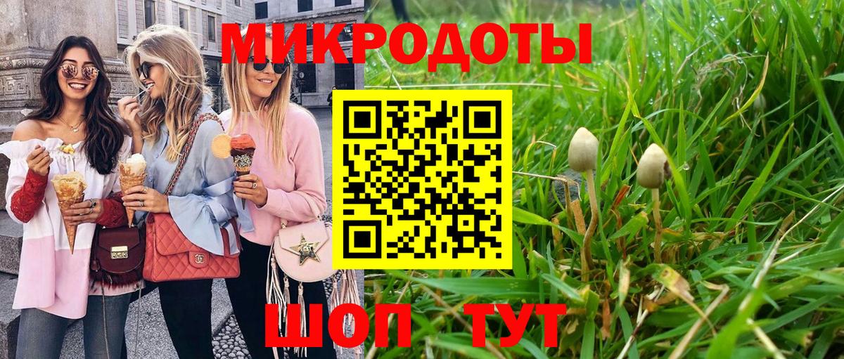 Псилоцибиновые грибы мухоморы  Вход с VPN  Псилоцибиновые грибы GOLDEN TEACHER  Курчатов 