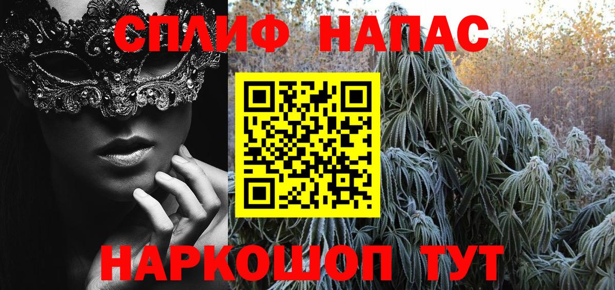 Конопля семена  Бошки Шишки индика  Курчатов  Вход с VPN  Конопля планчик 
